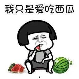 娱乐圈吃瓜沙雕动漫,沙雕动漫中的吃瓜风云